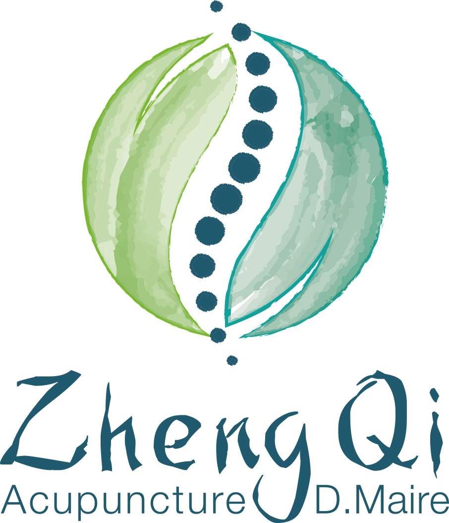 ZHENG_QI_logo