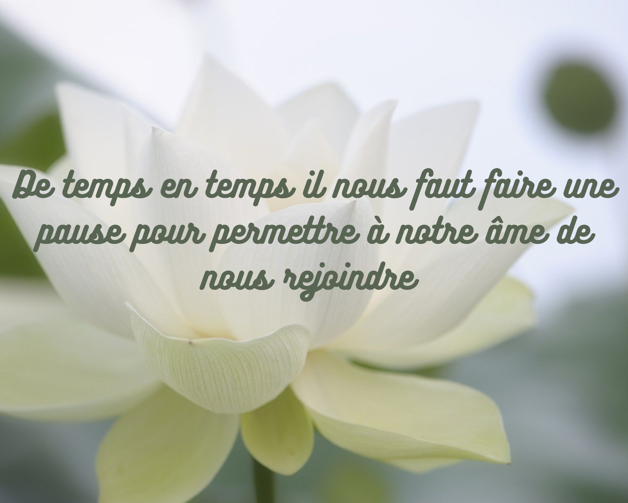 De temps en temps il nous faut faire une pause pour permettre à notre âme de nous rejoindre